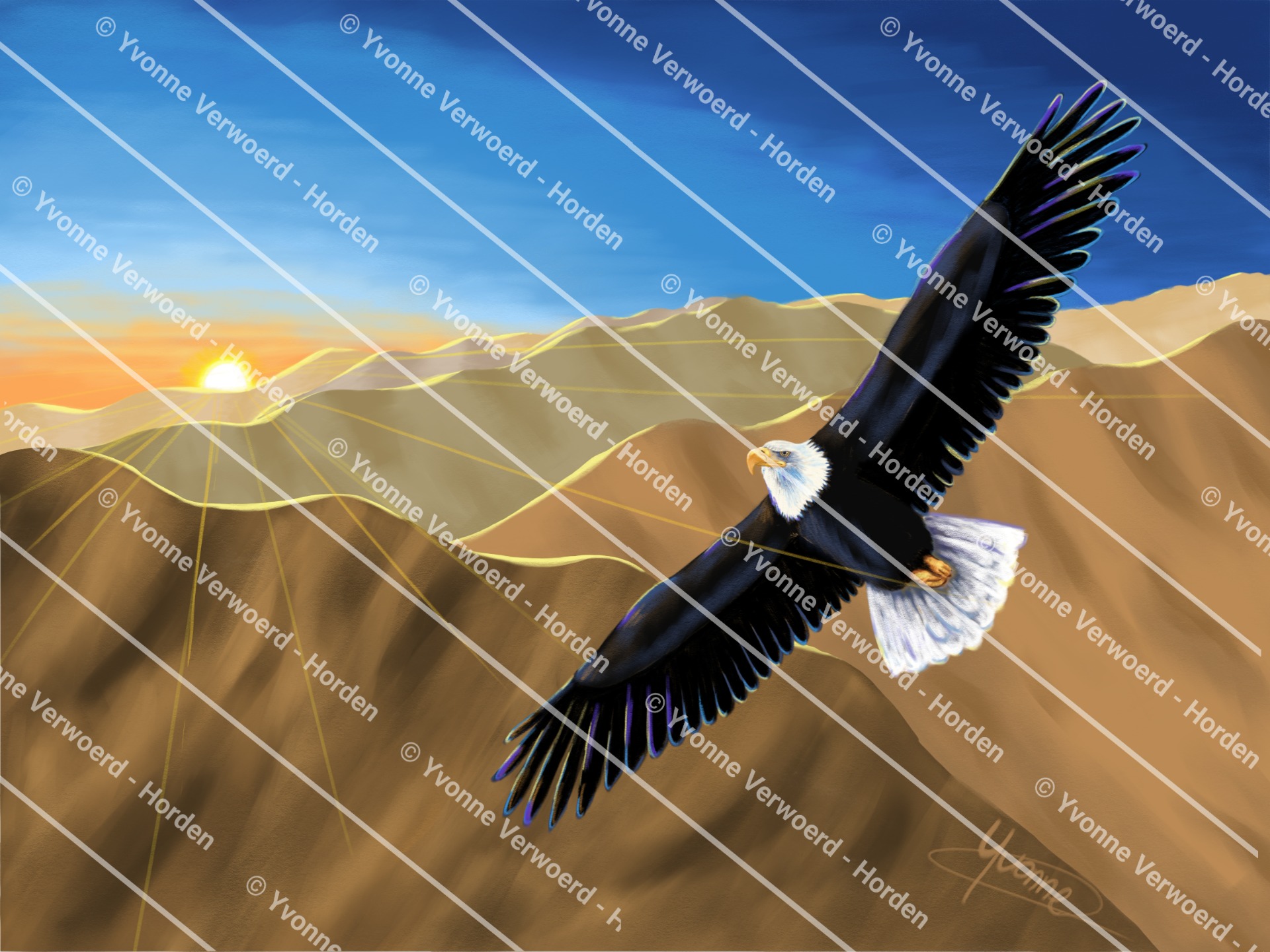 Adelaar Zonsondergang